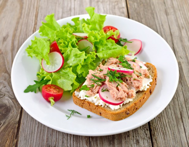 Tartine thon, fromage, radis, salade