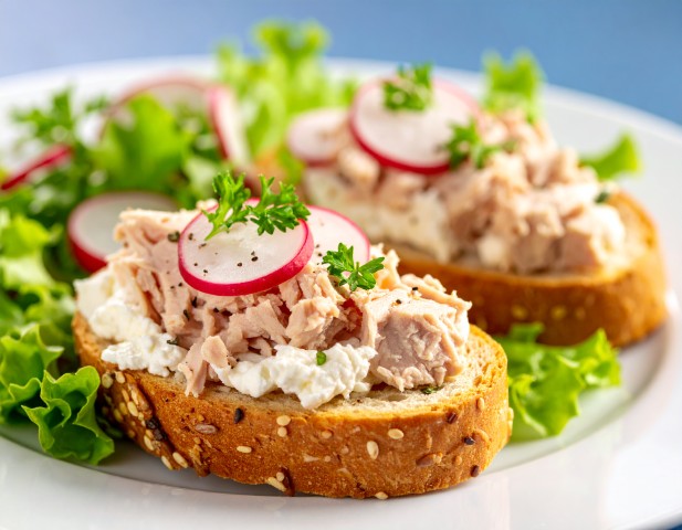 Tartine thon, fromage frais, radis et salade